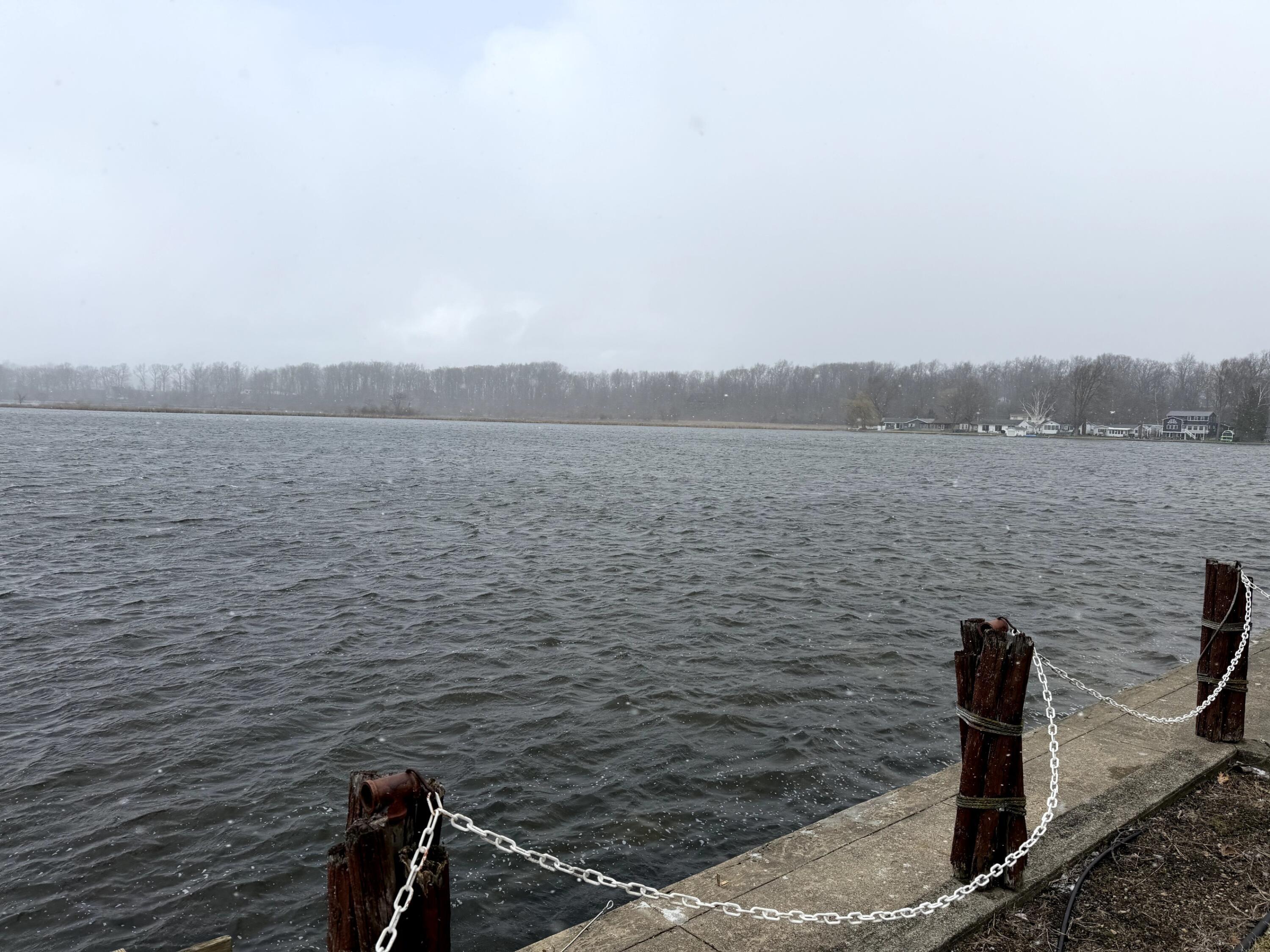 Image 4: 1773769315367_resized