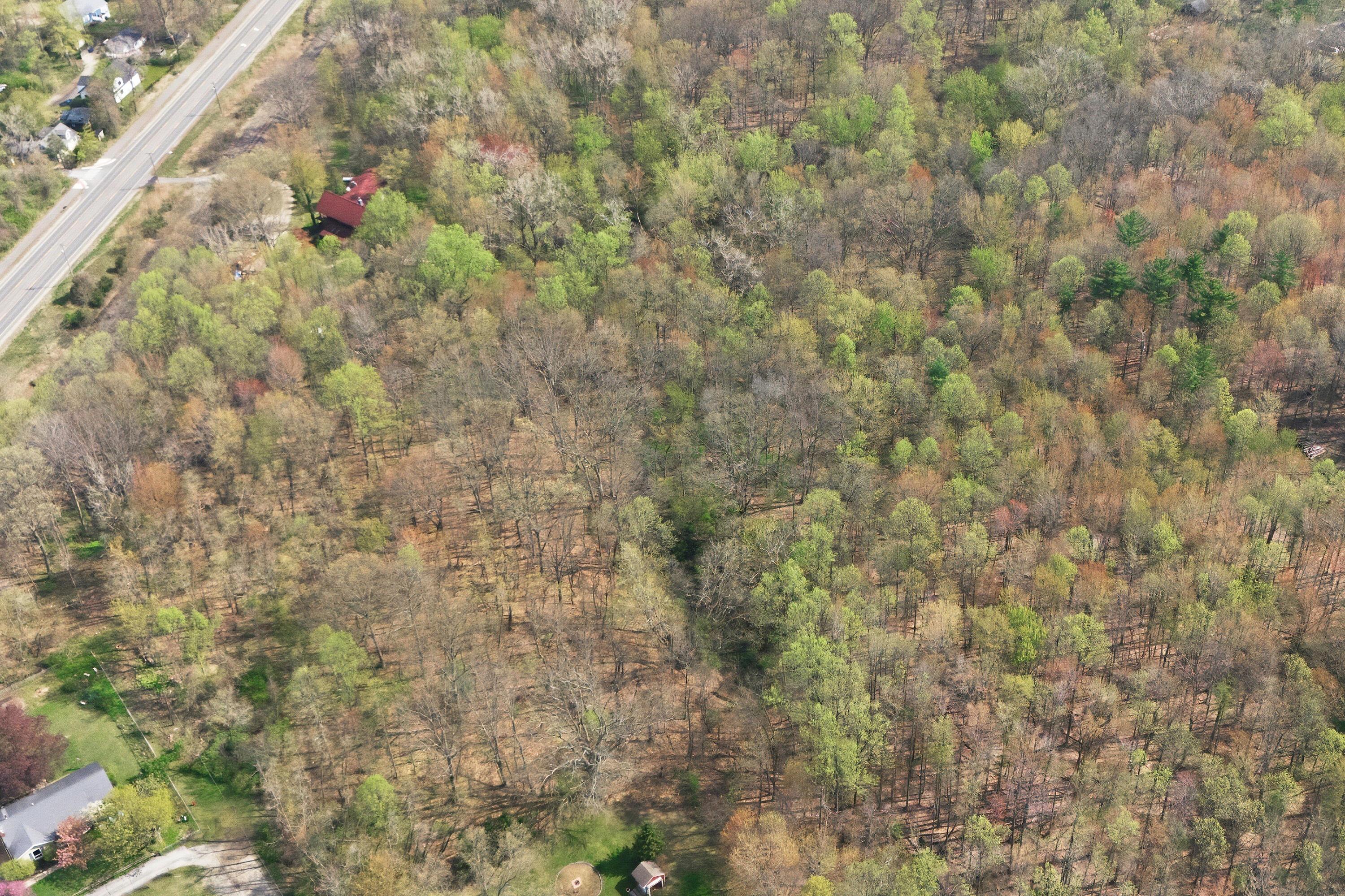 Image 3: 15161 Hillside