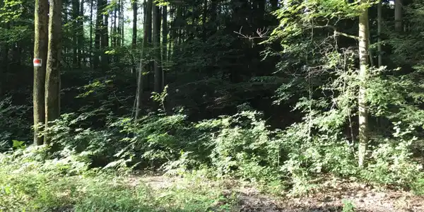 OTTAWATTAMIE Trail