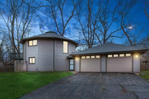 14281 Tulip Tree