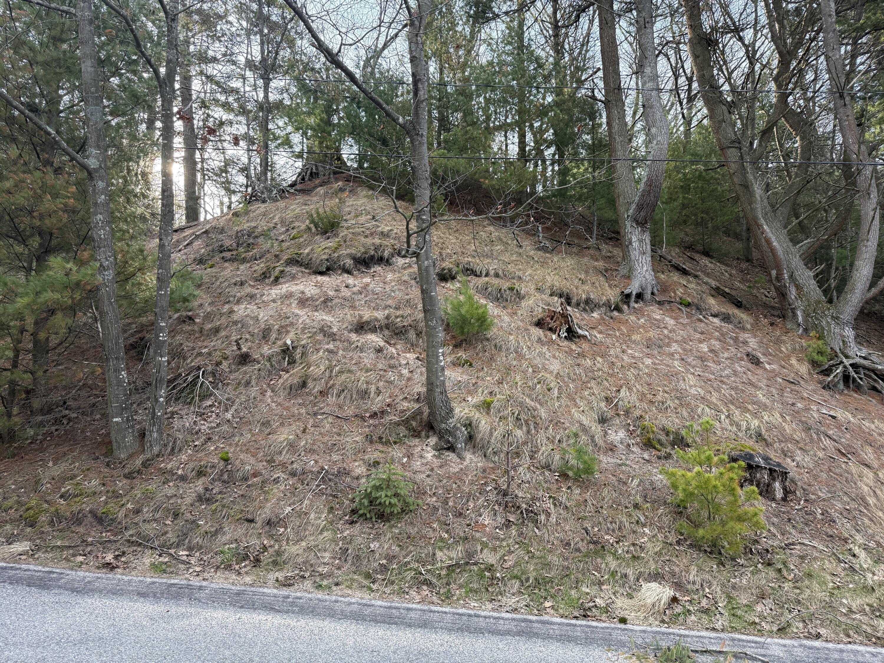 Image 3: IMG_4216