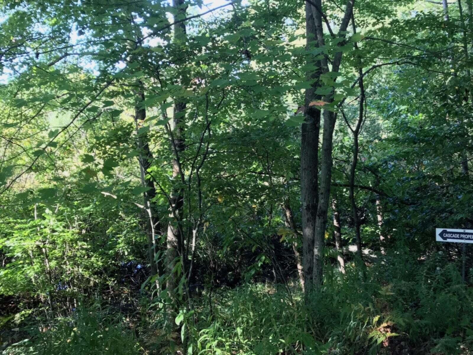 Image 2: 20220806142735883743000000-o