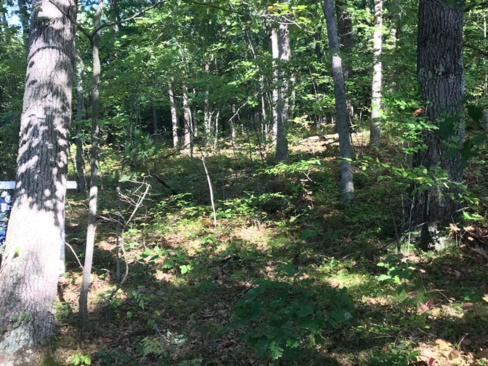 Image 3: 20220425095736770210000000-o