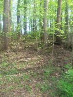 4037 lake road Road