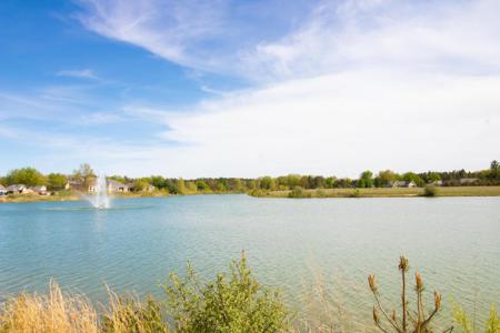 11463 Killarney Drive