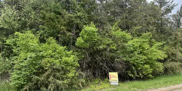 Image 4: Kelley Road Photo3