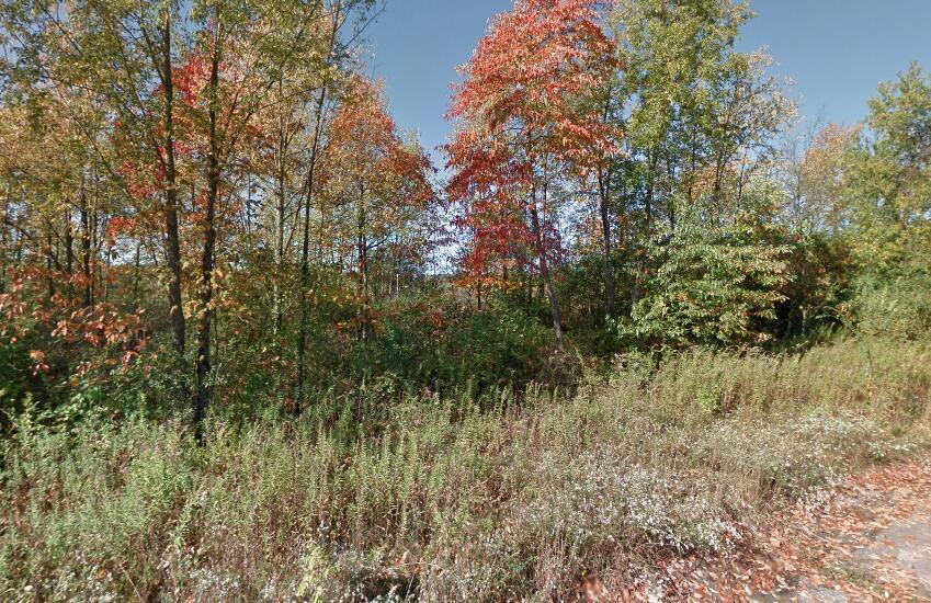 Image 3: Forest Shores 22 and 23