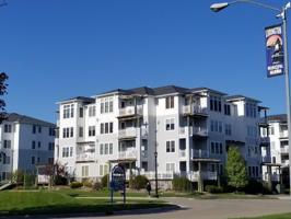 207 S William