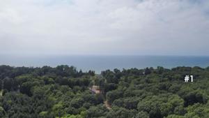 14606 Crest View