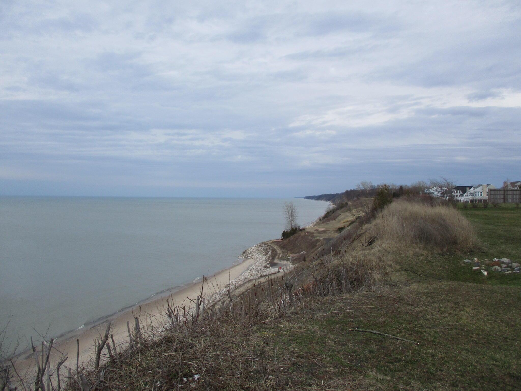 Image 3: IMG_2724