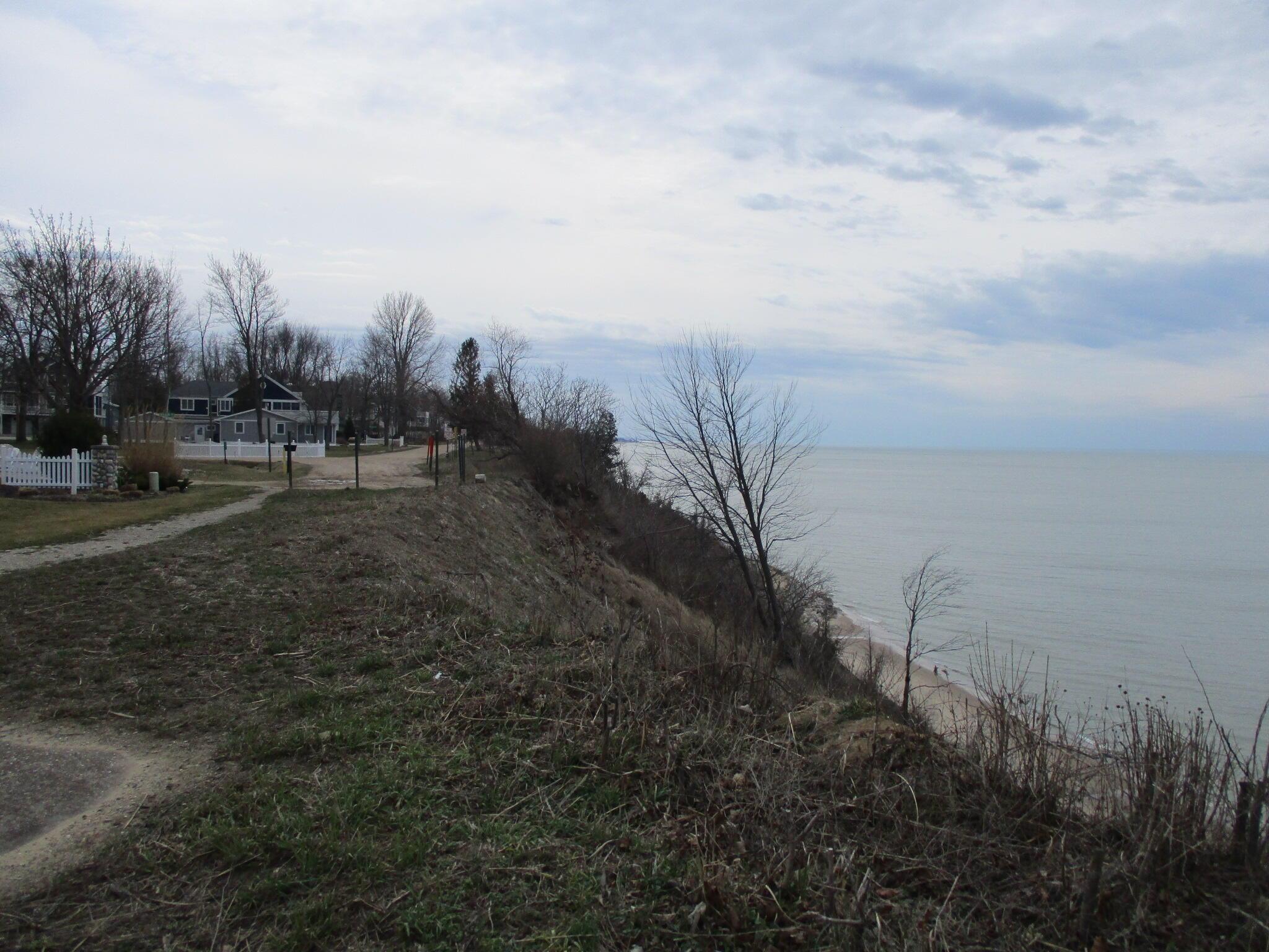 Image 4: IMG_2725