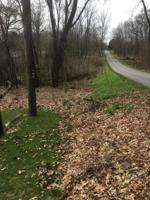 V/L Brush Lake Rd
