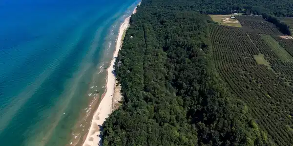 Image 3: DJI_0379