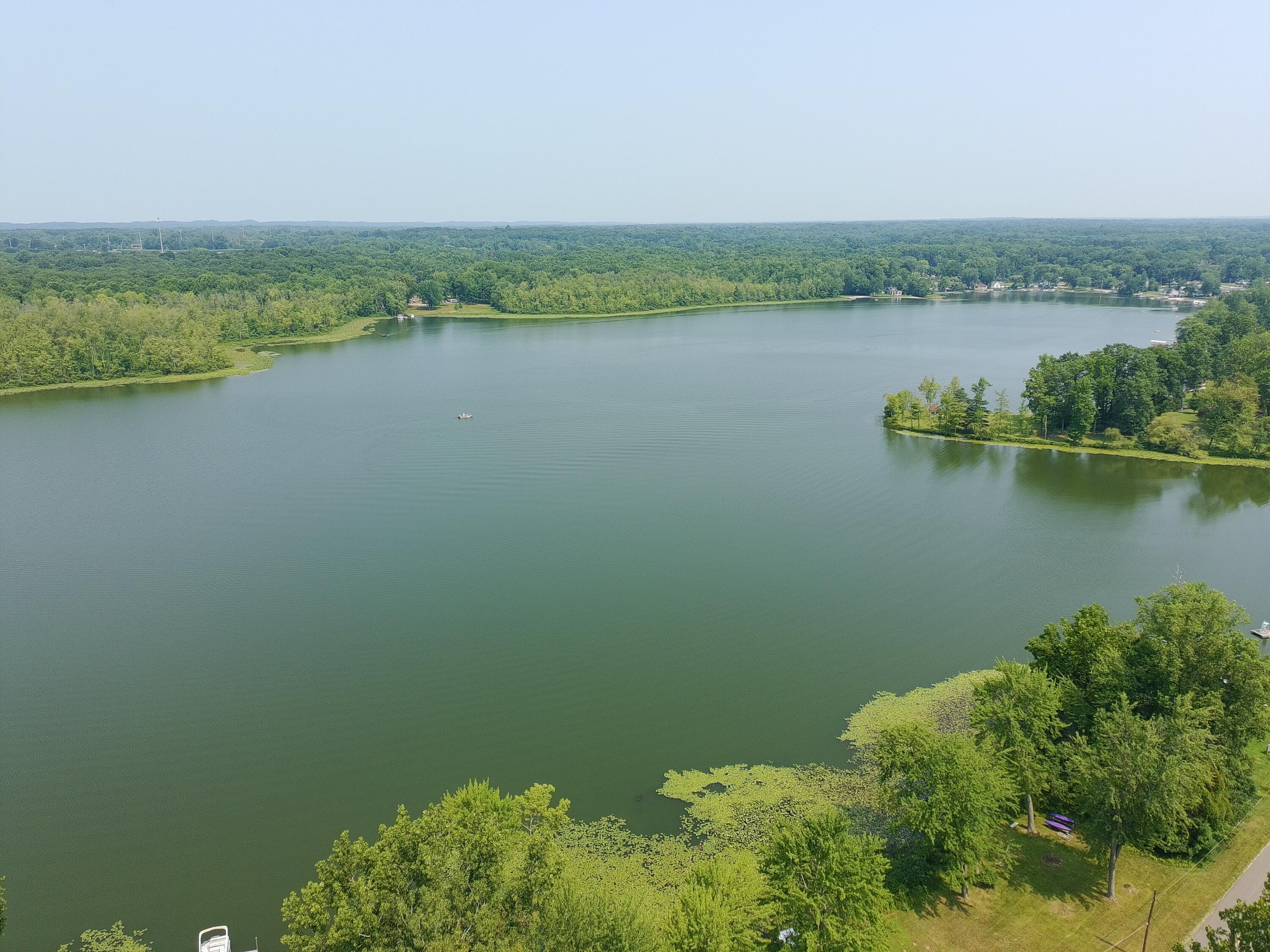 Image 3: PTSC_0256