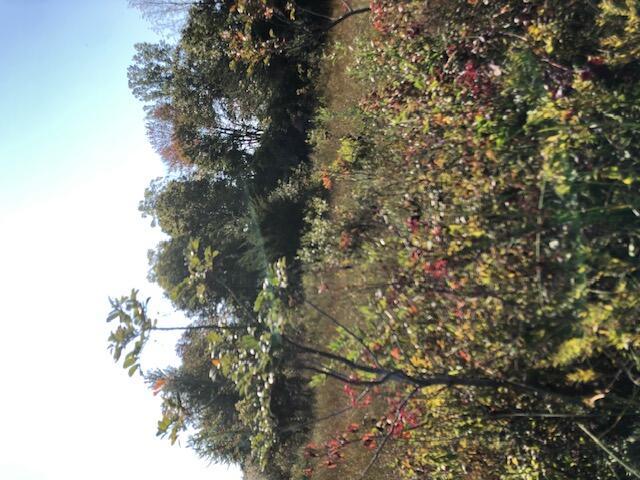 Image 2: View from Lake