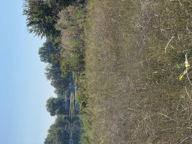 Image 1: View from Lake