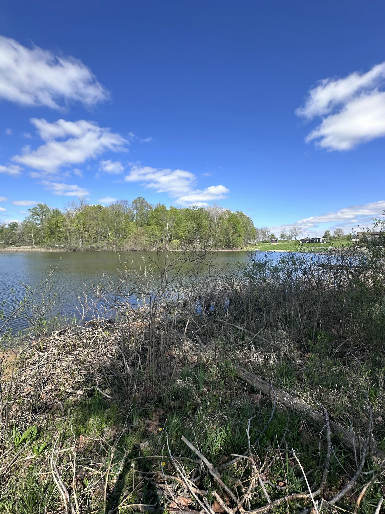 Image 3: IMG_6219