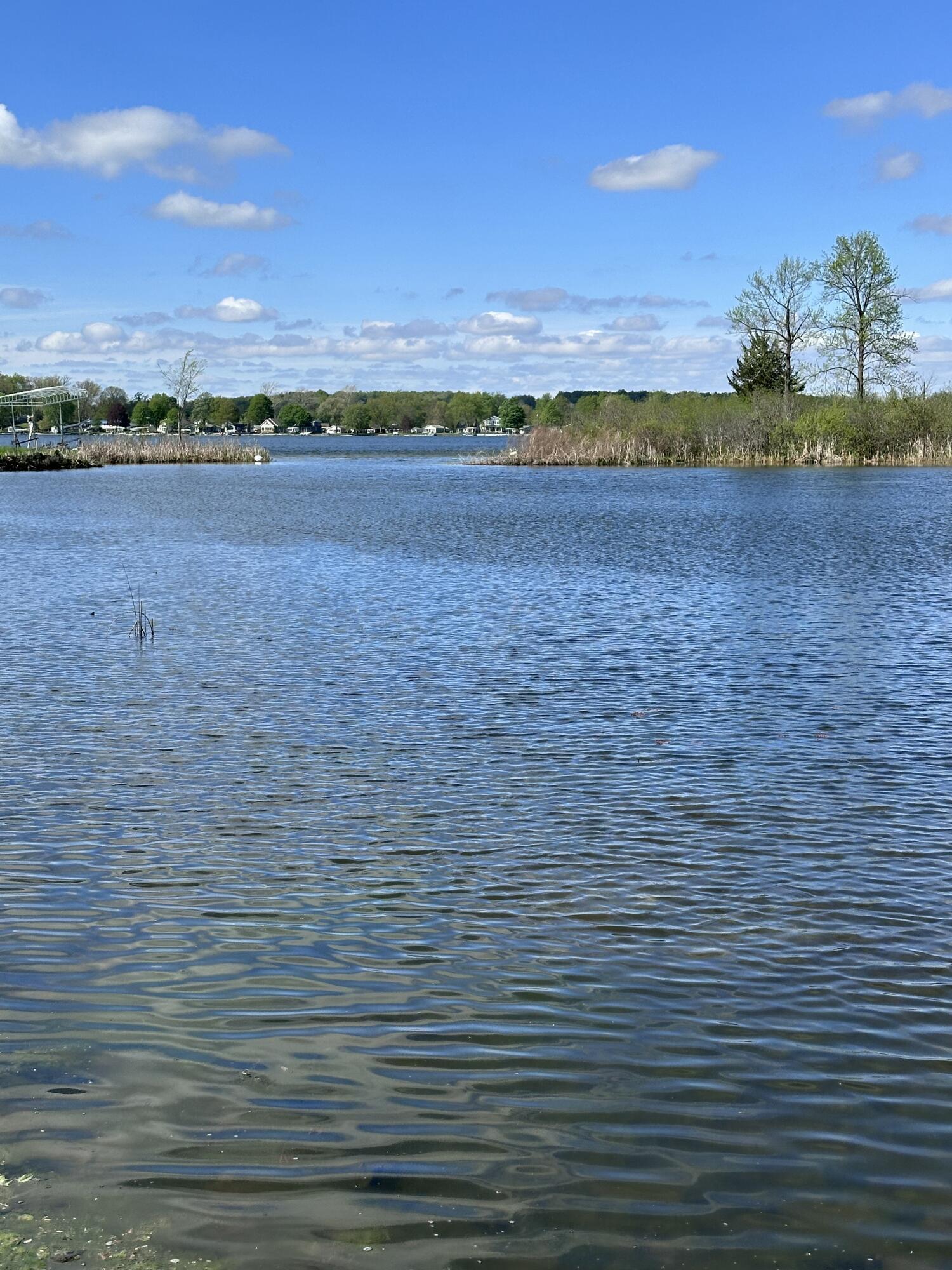 Image 4: IMG_6222