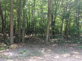 Lot C Old Owl Drive