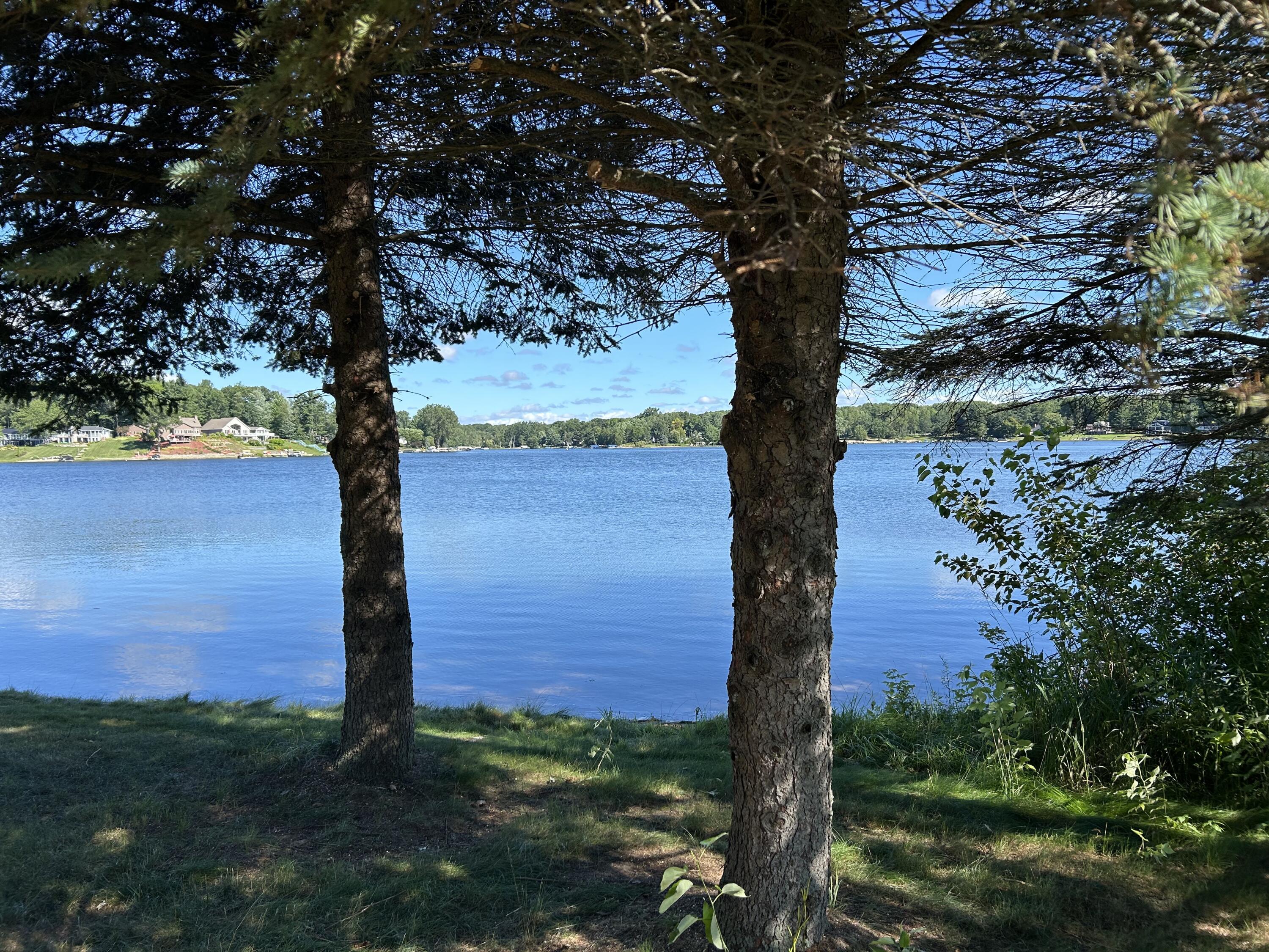 Image 3: 2