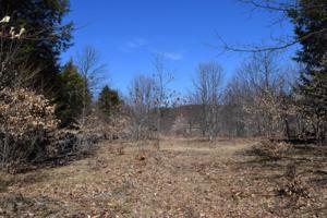 Opal Ridge Drive