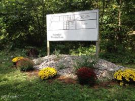 Limberlost Lane