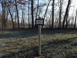 Lot 4 42nd Street