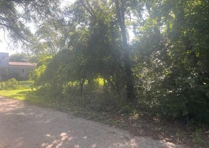 48101 Walnut