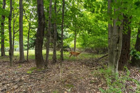 Creekwood 56