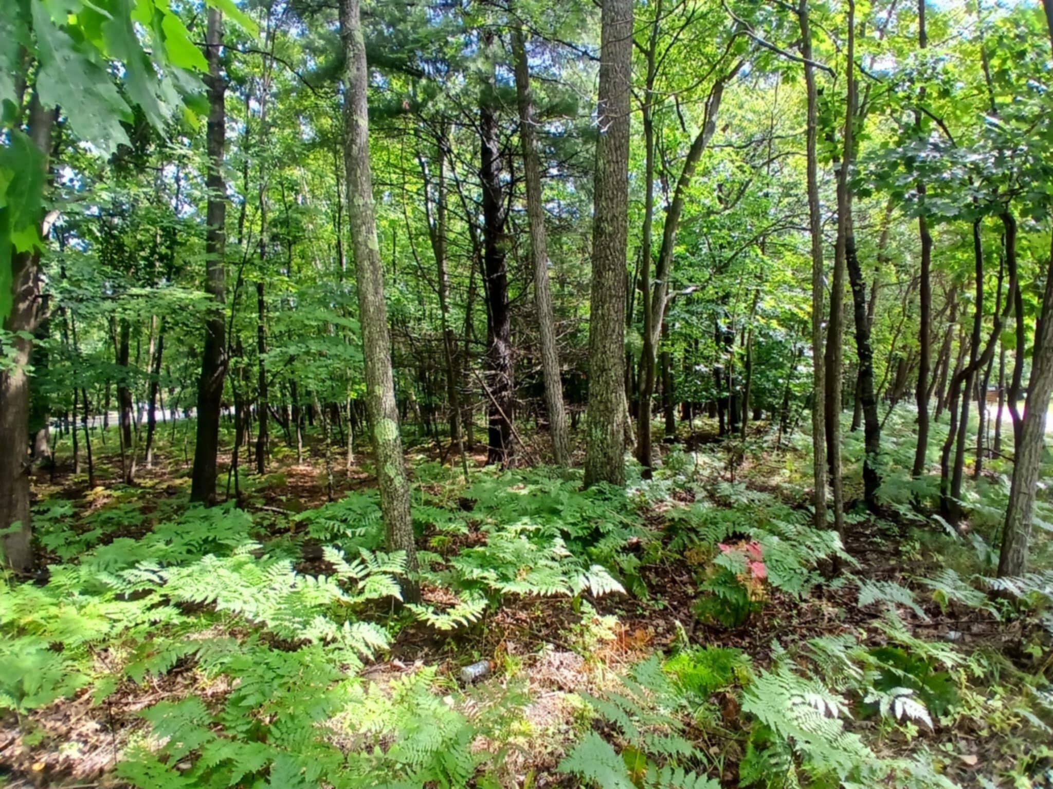 Image 3: e7ca7fa8-e4f5-4d1e-af34-e6a157b1e830