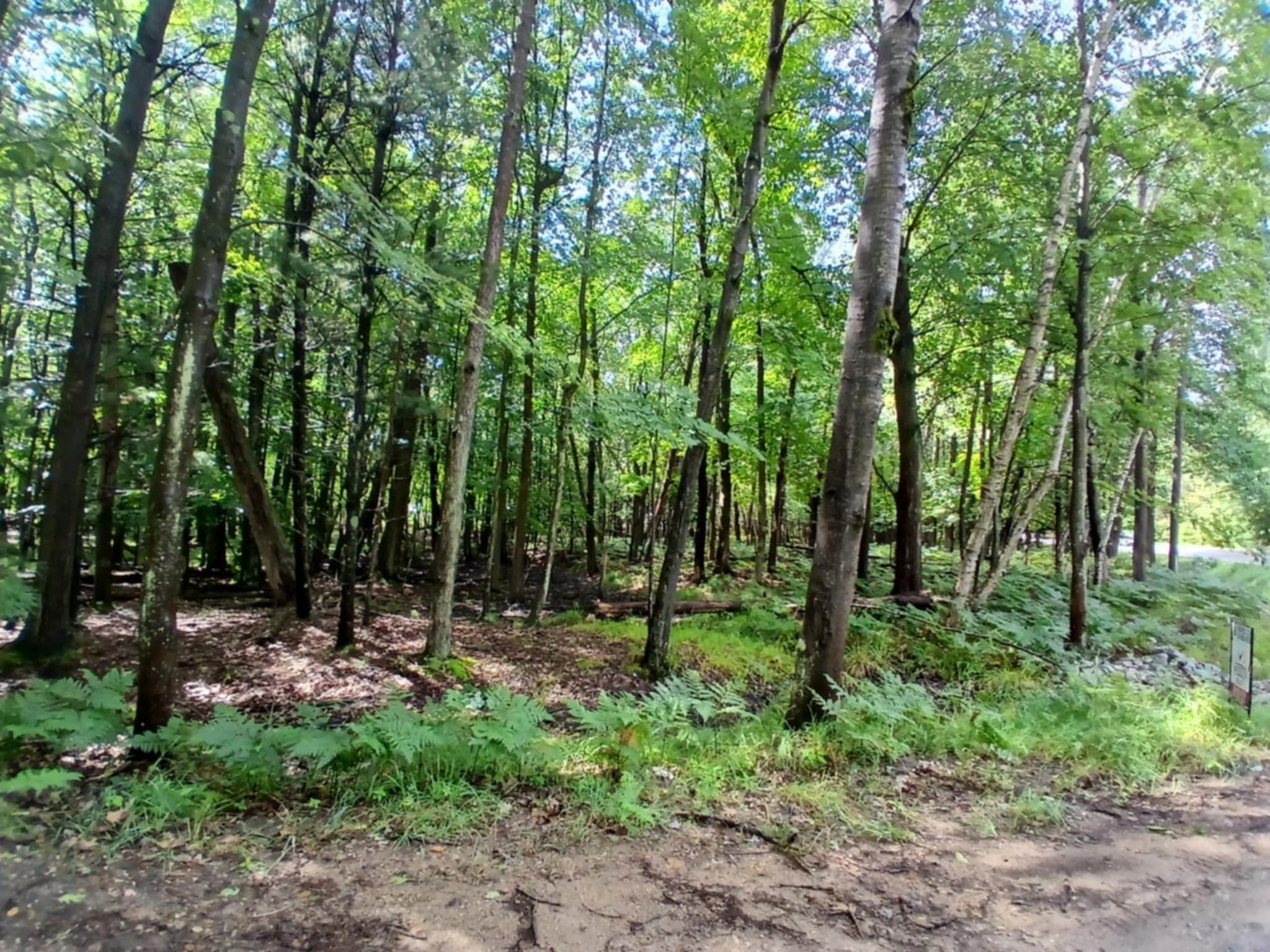 Image 4: 4fe10fdb-c430-41b0-b586-fac7635baa5a - C