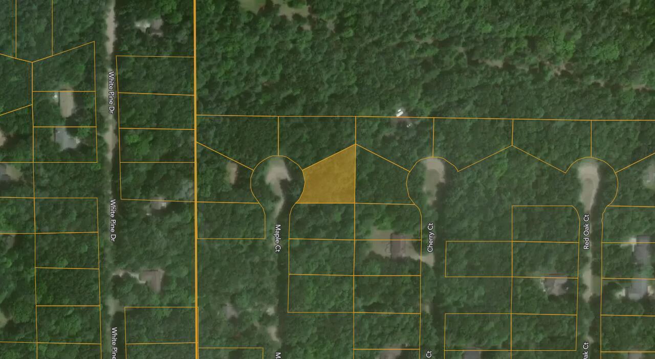 Image 1: Maple 1
