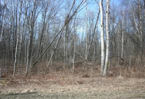 VL Birch Lane