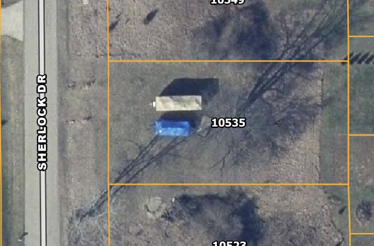 Image 2: Screenshot 2026-03-03 at 9.48.47AM