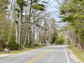 Image 3: IMG_0637