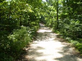 19343 Ravine