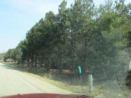 Red Apple Rd