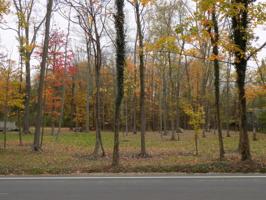 0 Forest Beach Road