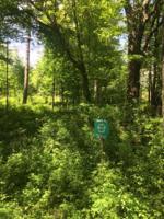 12 Misty Pines