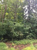 14759 Lakeshore Road