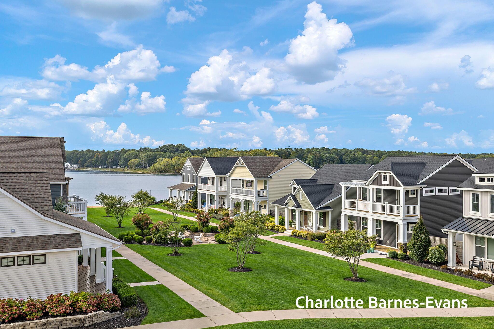 Image 3: 3-web-or-mls-2R9A1501 (2)