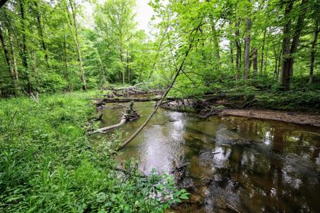 VL Black River Rd