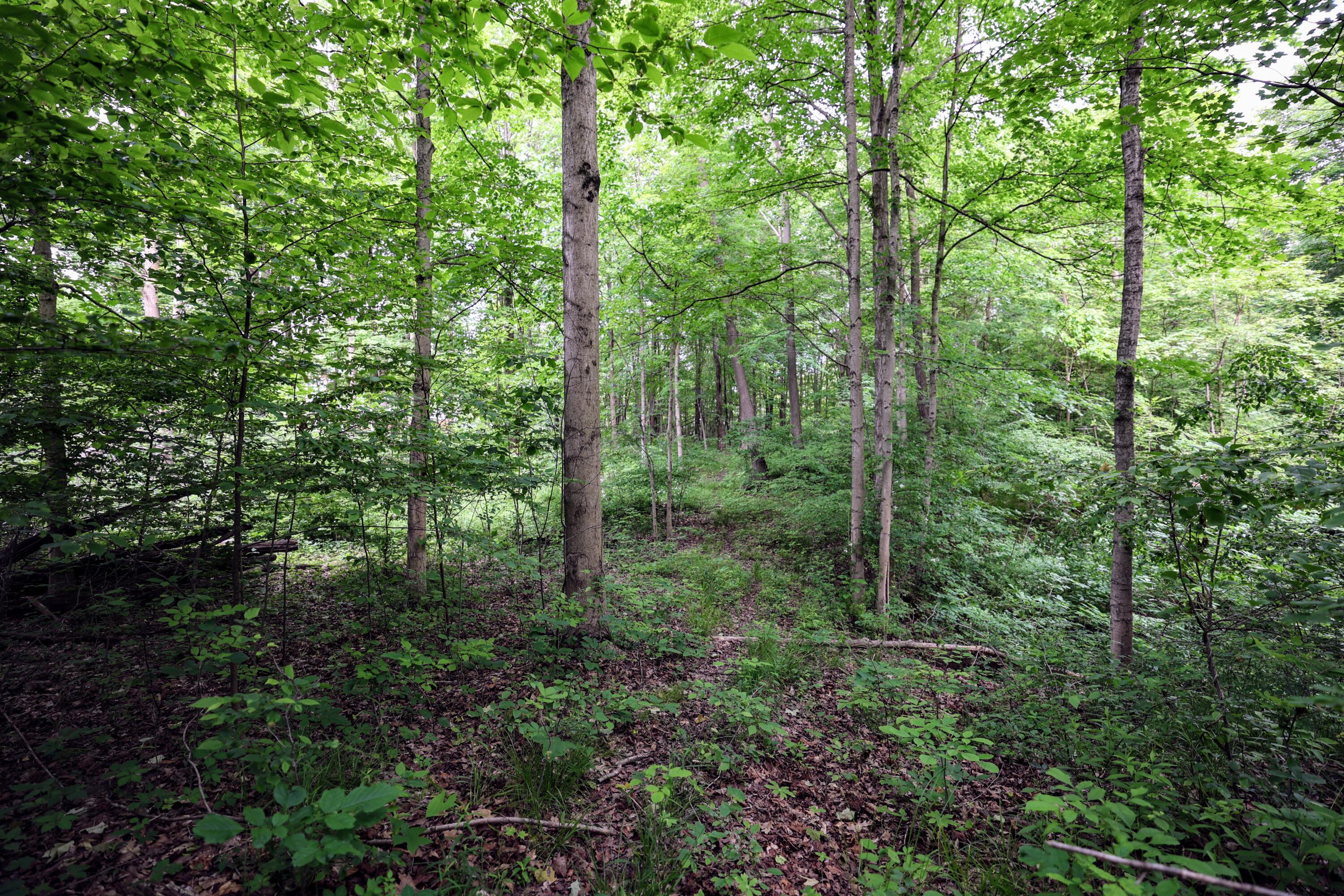 Image 2: 2