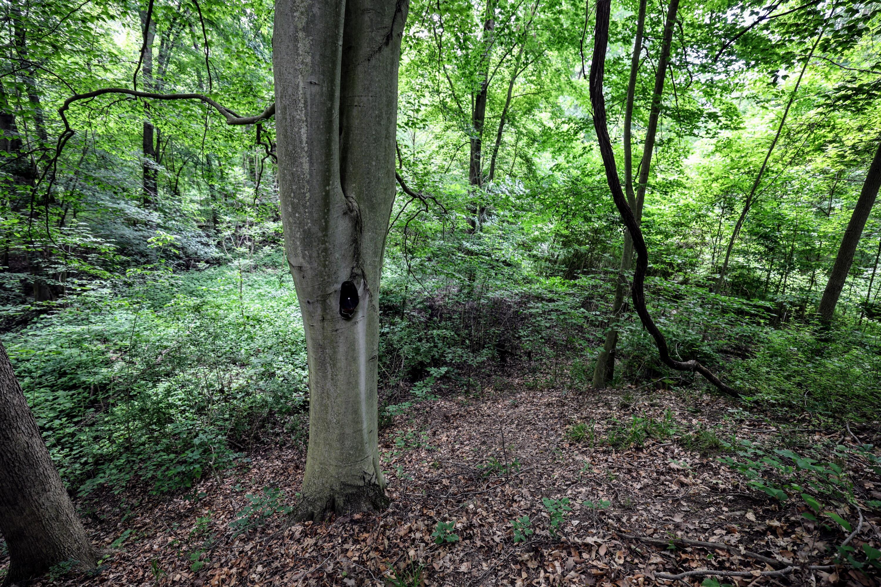 Image 4: 4