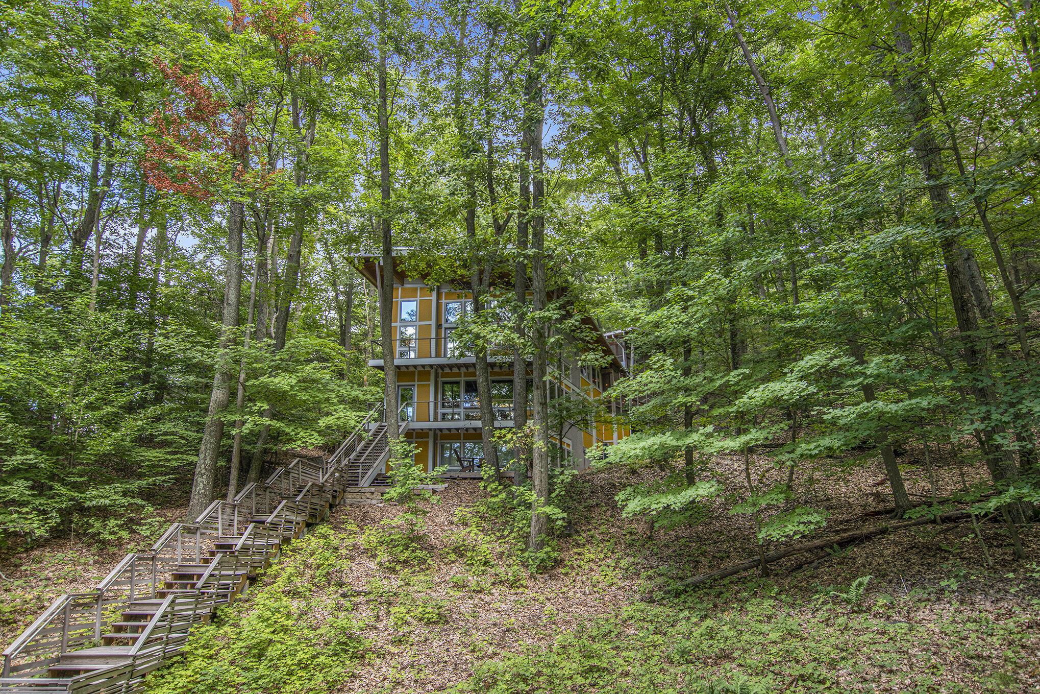Image 2: Nestled in the trees