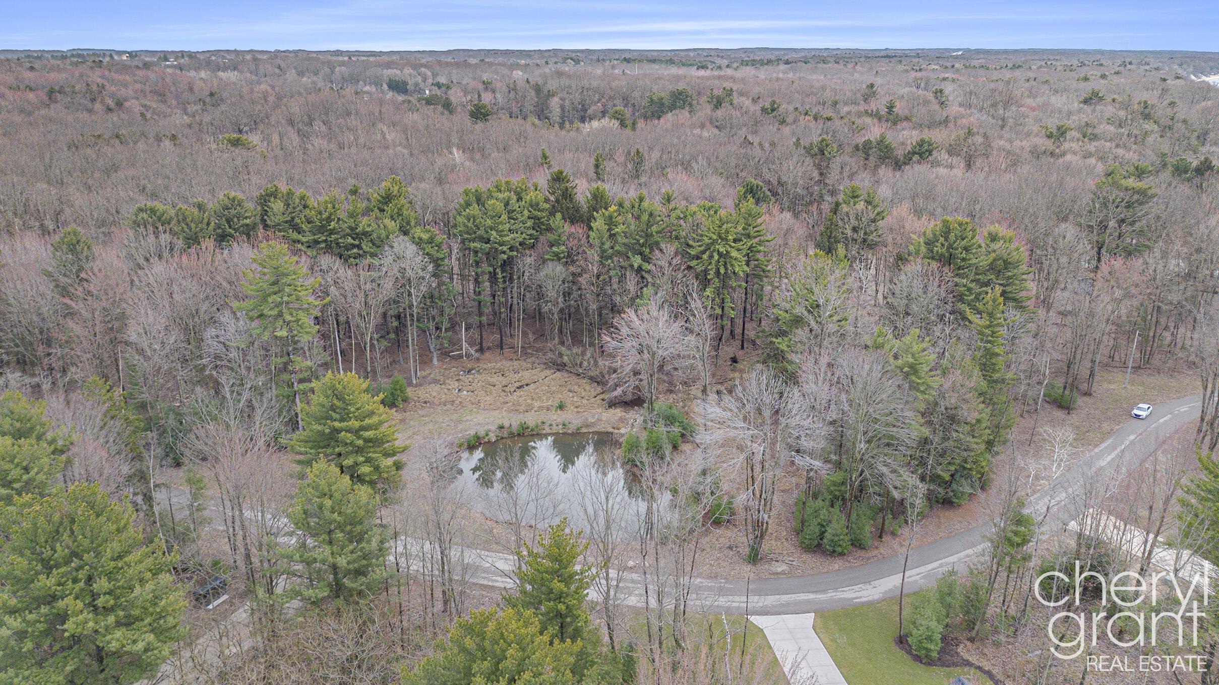 Image 3: Aerial