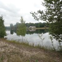 9157 Elmwood Court