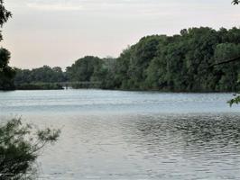 5 Roundtree