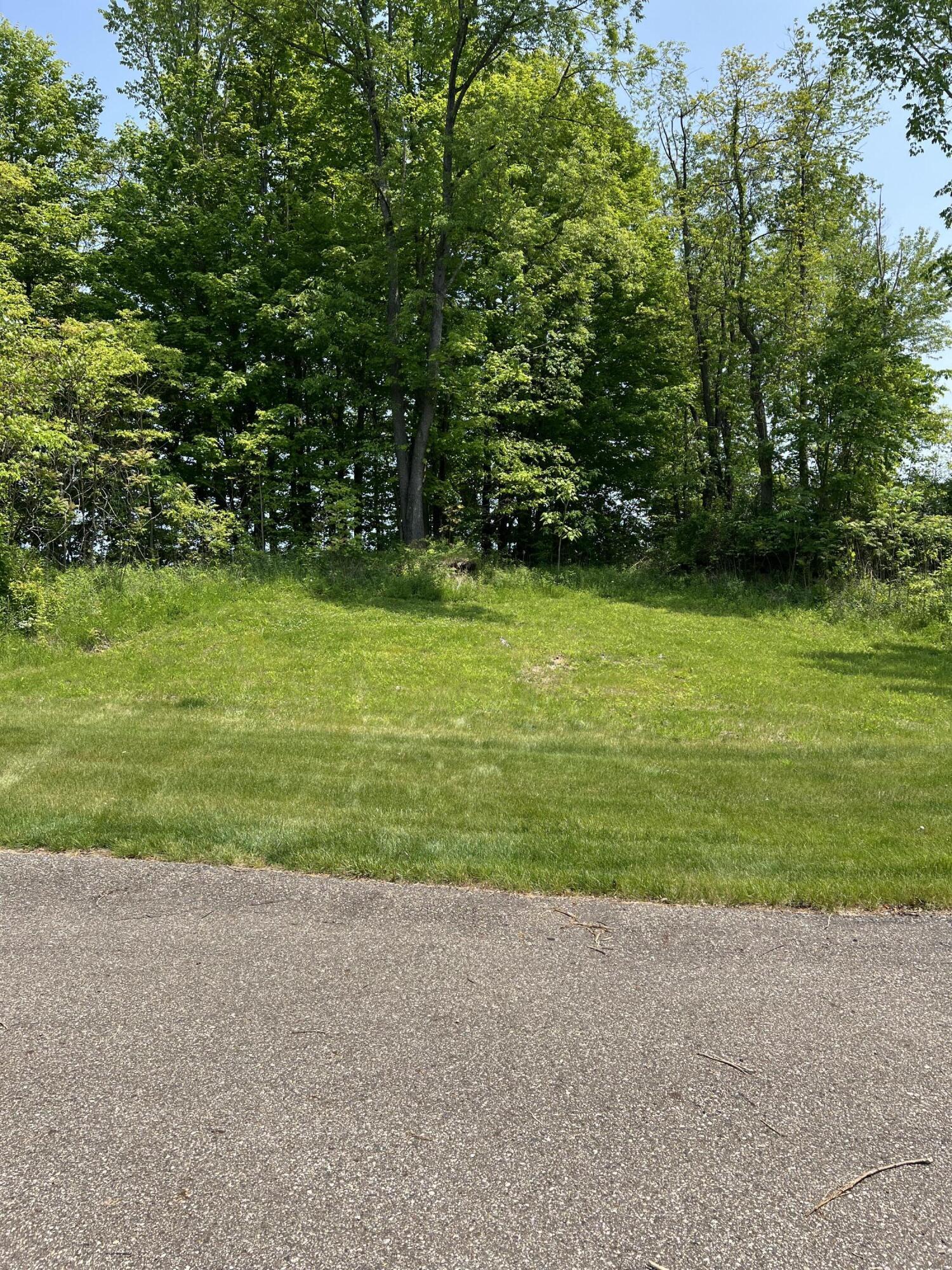Image 3: IMG_2263