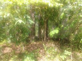 Lot 97 Lakeview Circle